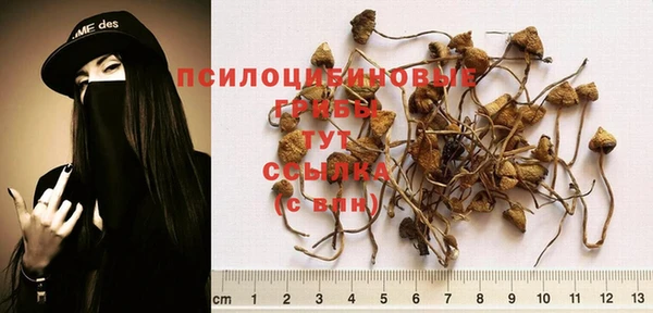 jwh Каменск-Шахтинский