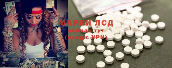 прущая мука Каменногорск