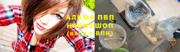 PSILOCYBIN Карпинск