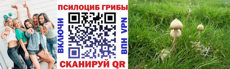 Купить закладки  Белая Калитва  Галлюциногенные грибы Psilocybe 